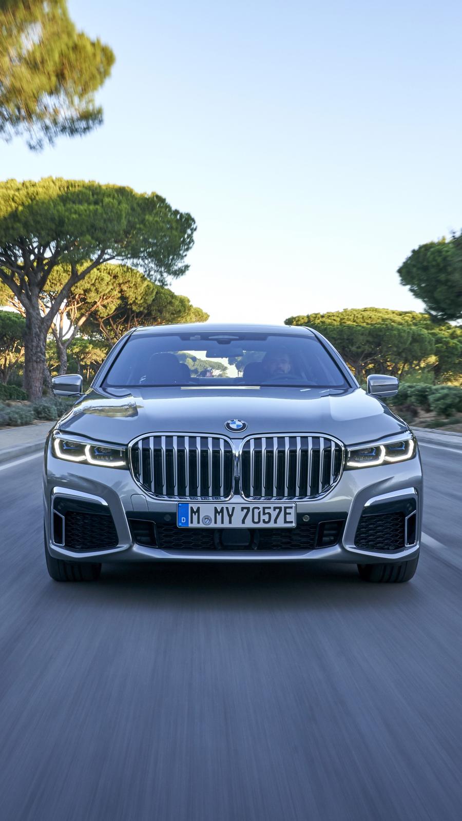 BMW 745Le xDrive M Sport (G12) 2019 года  (WW) (фото 69 из 103)